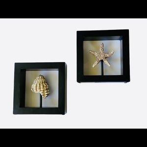 Nautical Hanging Wall Art Decor Shell /Starfish